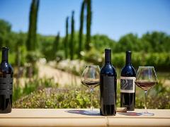Harvest & Hearth: The Sustainable Food Trail