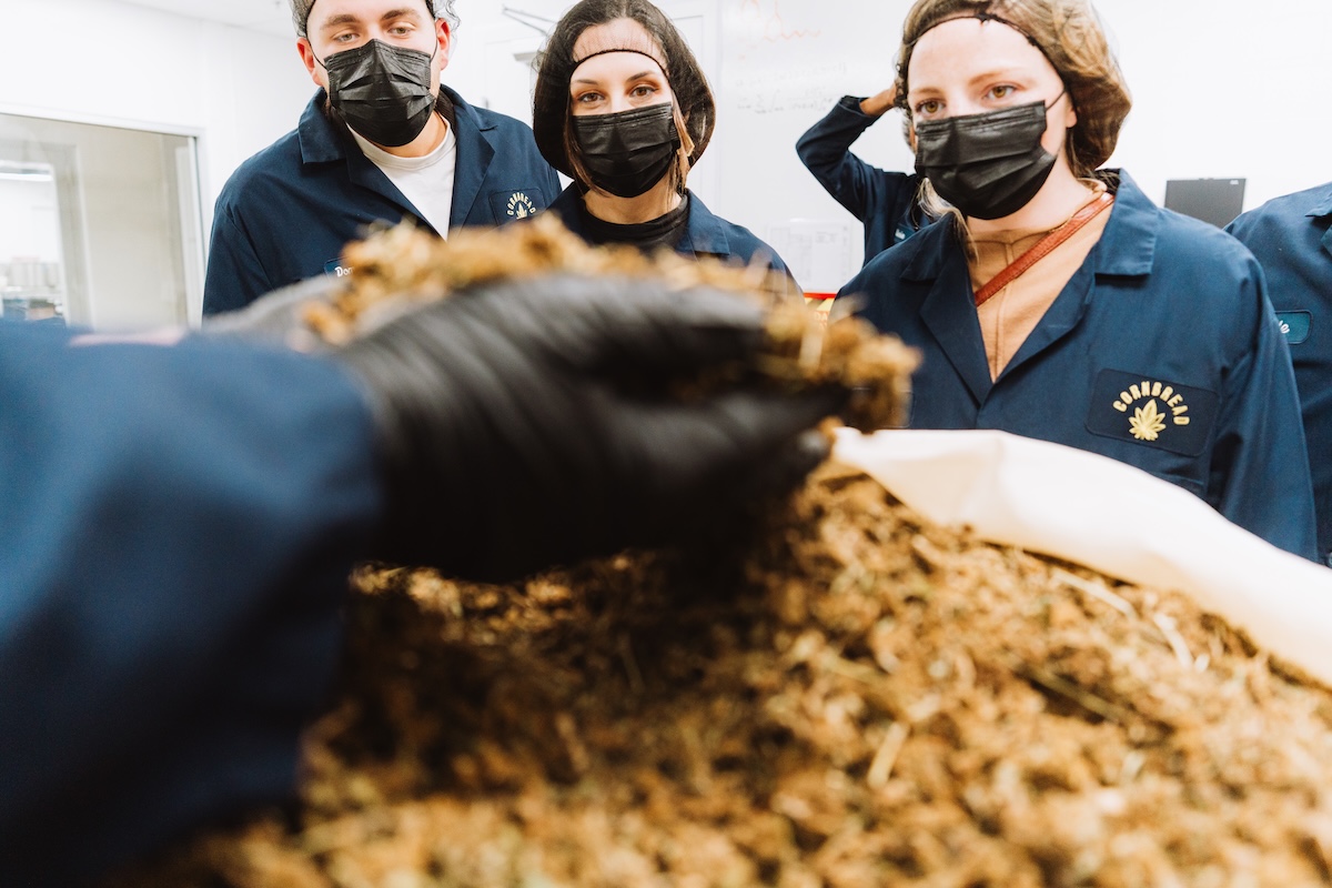 Cornbread Hemp - VIP Behind-the-Scenes Tour & Tasting