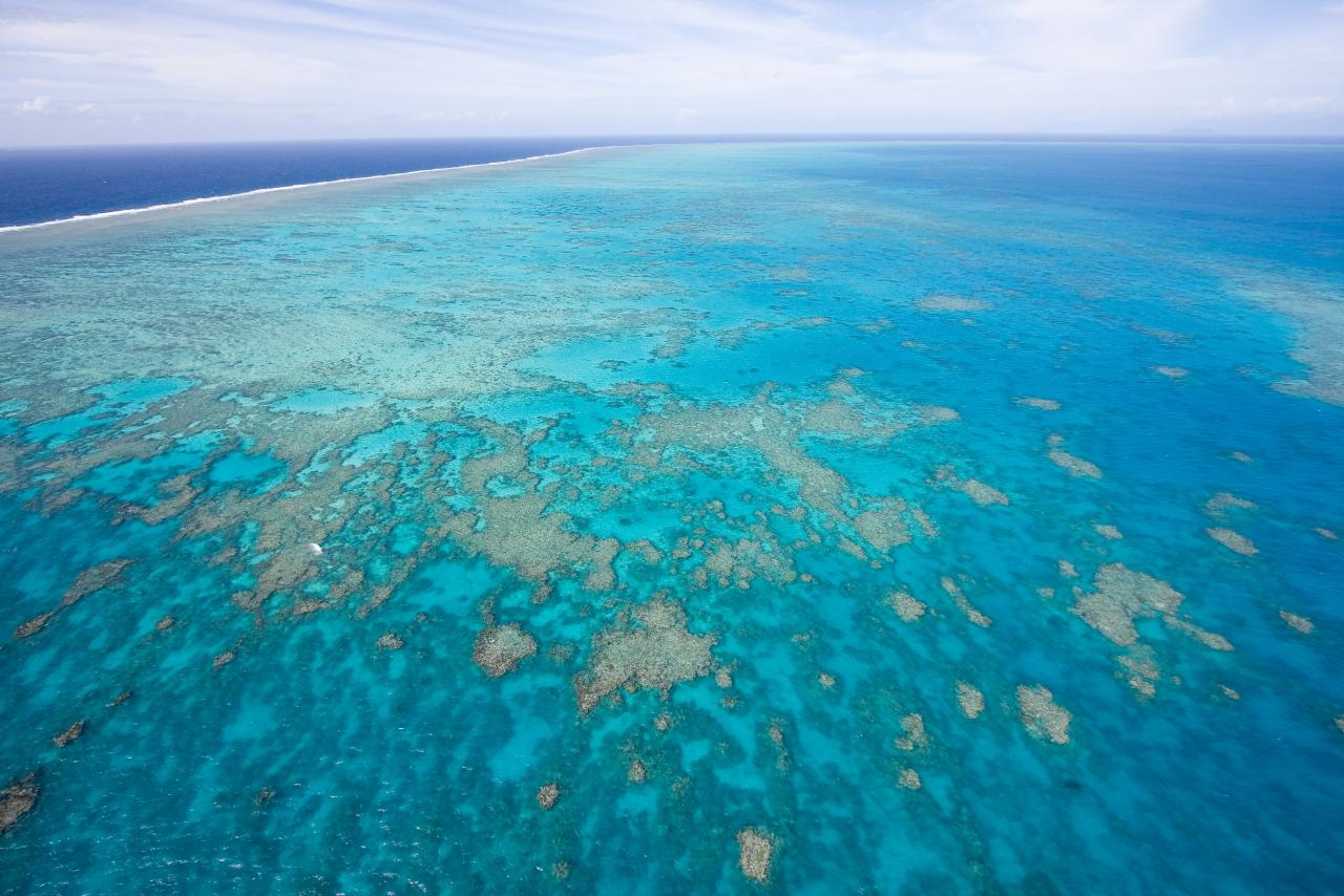 Great Barrier Reef Tour