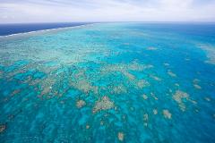 Great Barrier Reef Tour