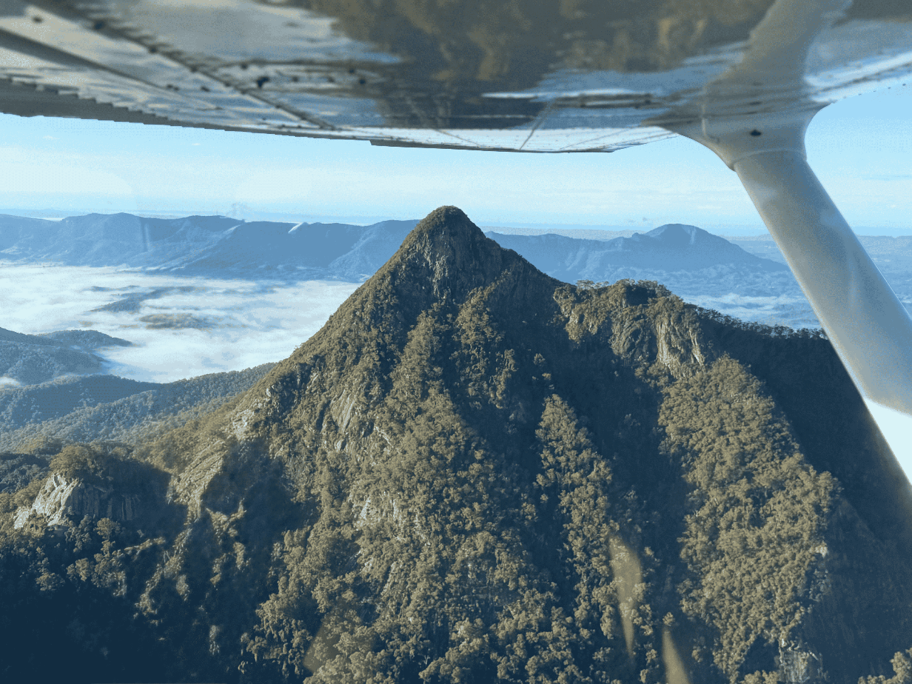Discovery Flight