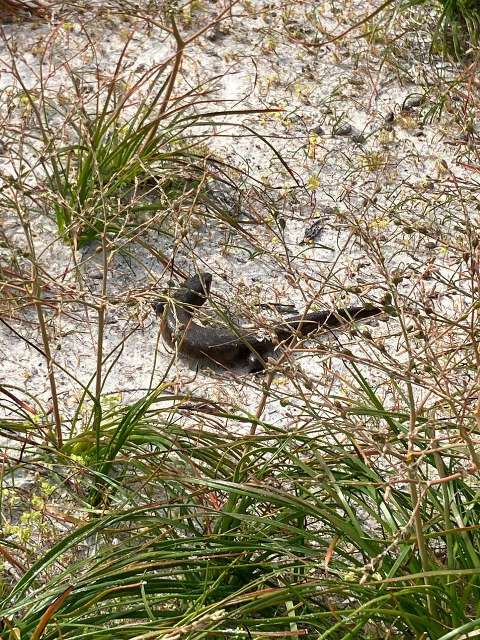 All Ages Bush Kaartdijin Tour - Wadjemup / Rottnest Island