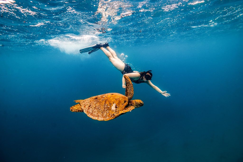 Cruise Ship Snorkel Safari