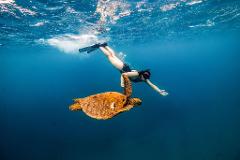 Cruise Ship Snorkel Safari