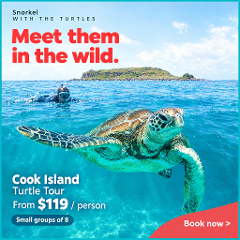 Snorkel with the Turtles - Cook Island