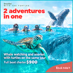 Double Adventure Charter  | whale watching & Snorkel with the Turtles