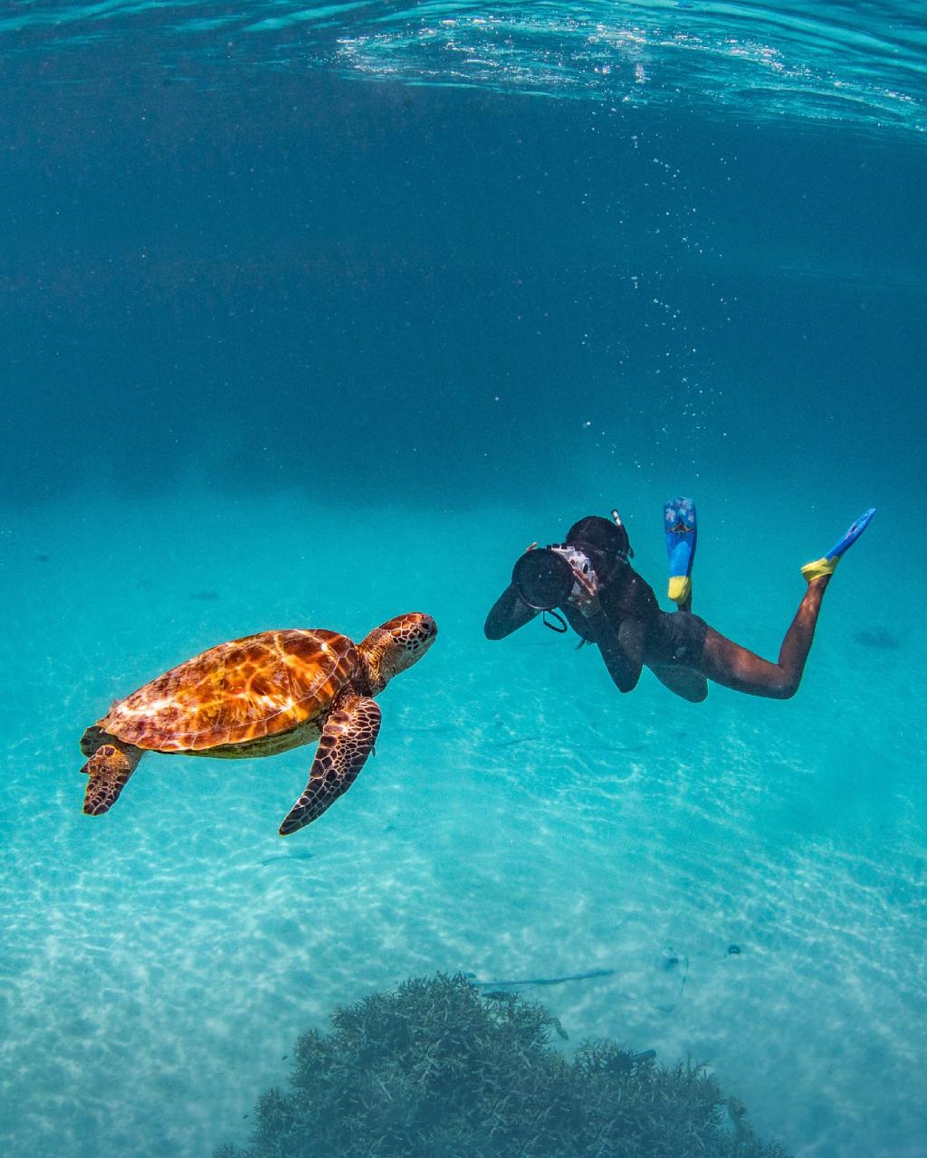 SISOSNK001 Snorkel 