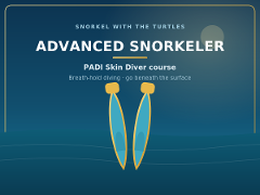 PADI Advanced Snorkeler ( Skin Diver) course