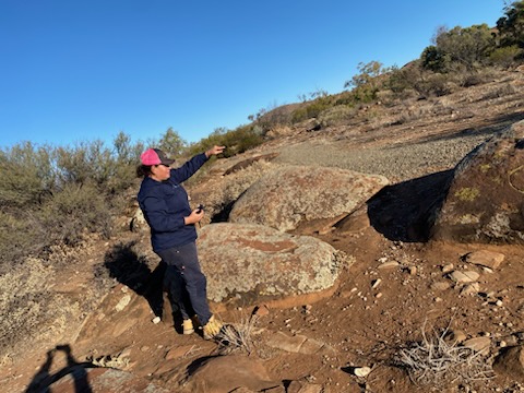 Dingly Dell | Petroglyph Interpretations