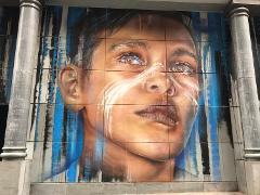 Melbourne Lane way  tour 3 hours (French)