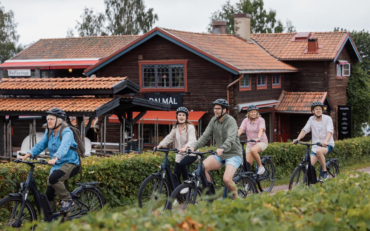 The most Scenic E-Bike Tour - in Dalarna