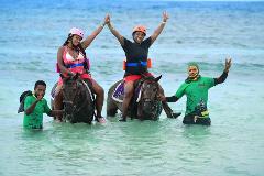Jamwest BRACO Combo - Horse Riding & Zipline