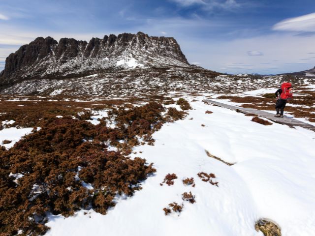 Lake St Clair to Cradle Mountain