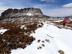 Lake St Clair to Cradle Mountain
