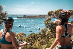 Ride, Dip, Repeat, Snorkel: Ocean & River Loop Bike Tour