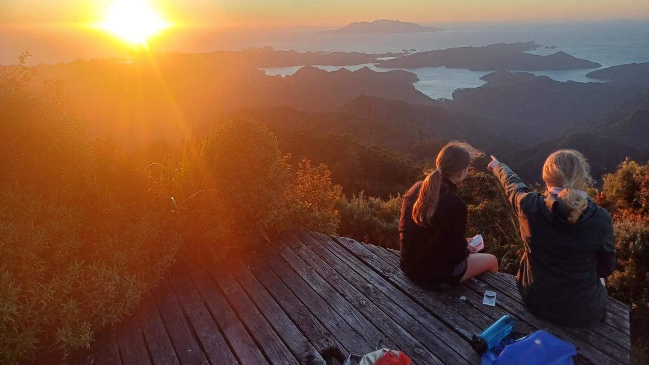 Silver - Qualifying [Tramping] -- Great Barrier Island