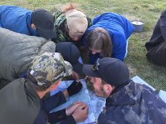 Gold - Qualifying Planning Day [Tramping]