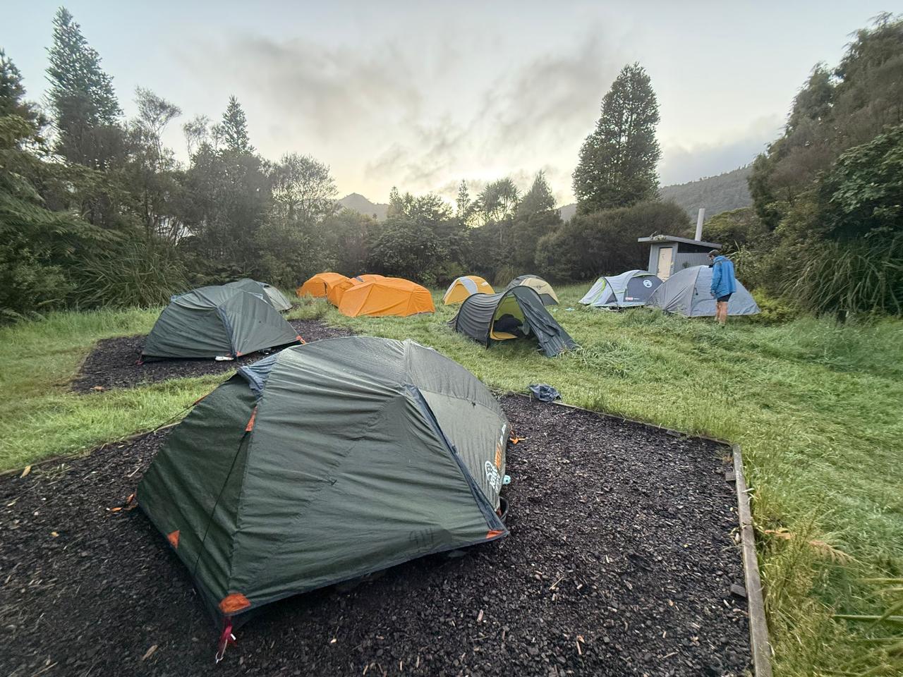 Gold - Qualifying 4 Day [Tramping] 