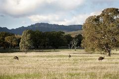 Grampians day tour