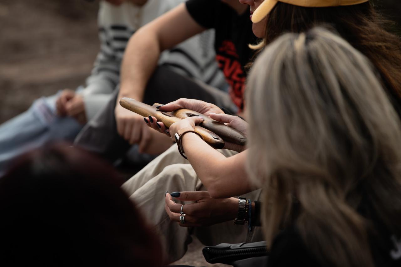 Sydney City Pickup: Aboriginal Cultural Tour: Rock Art, Engravings & Smoking Ceremony (Royal National Park)