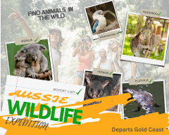 Australian Wildlife Adventure Gold Coast