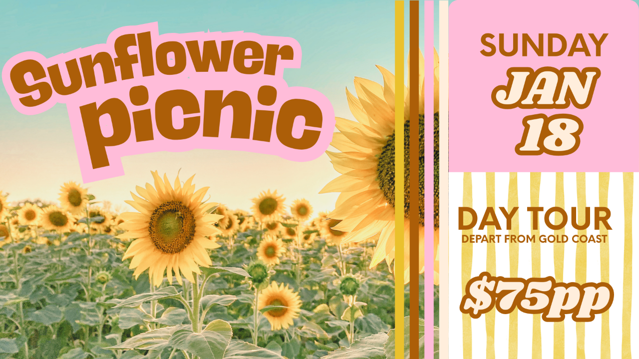 SUNFLOWER PICNIC