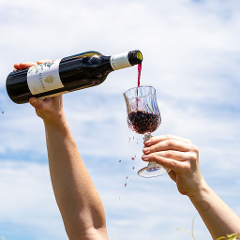 Alkoomi | DIY Tasting