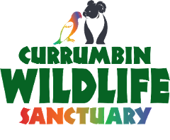 Currumbin Wildlife Sanctuary Transfer To Your Gold Coast Accommodation