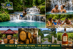 Appleton Estate & YS Falls Adventure from Negril | Lunch Included