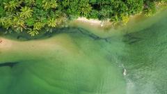 Private Daintree Dream Experience 