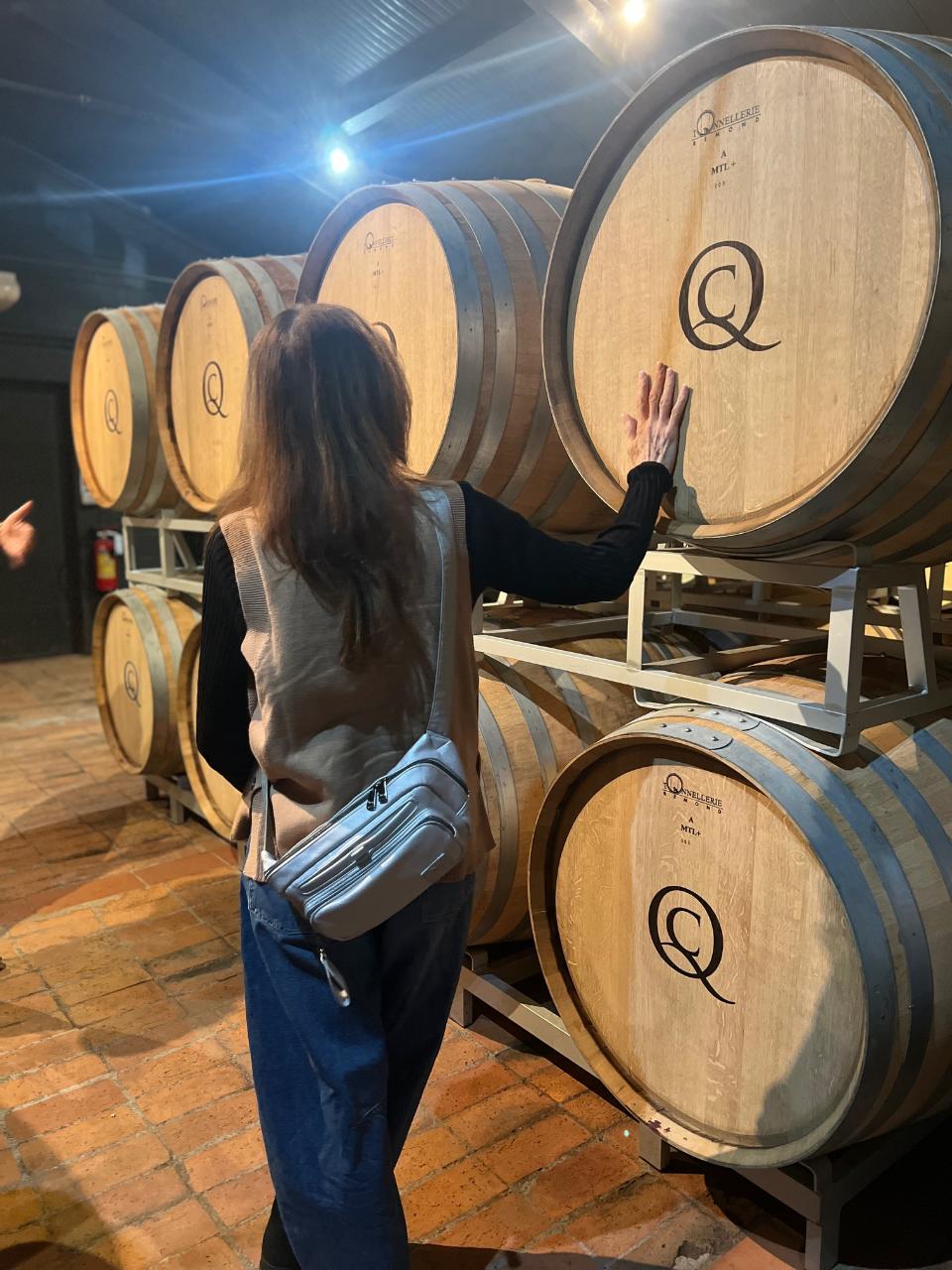 Out of the Box Florence: Your Organic Wine Tour (Private) — Chianti Classico - Photo 4