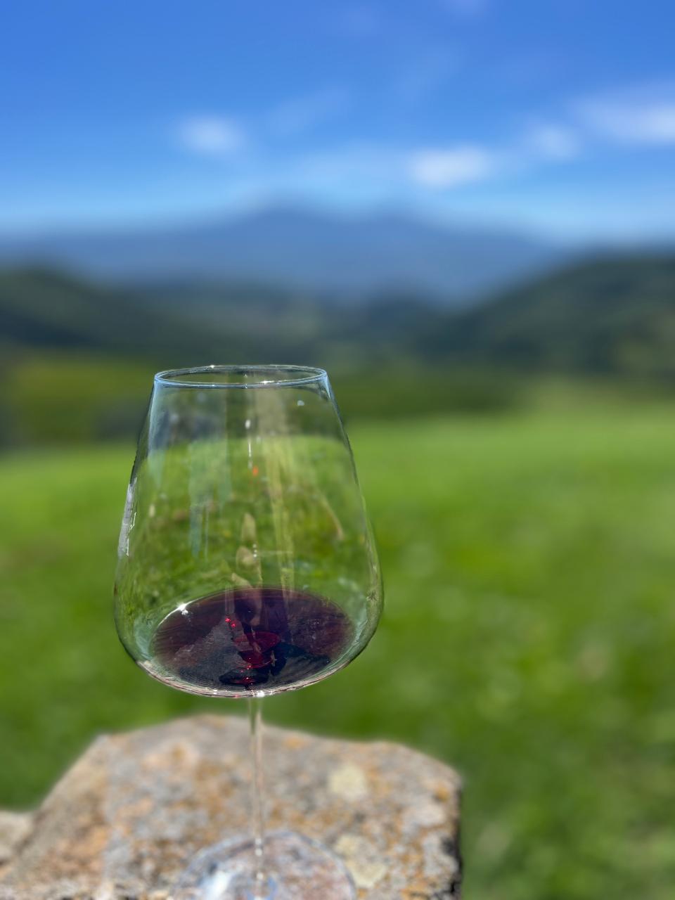 Out of the Box Florence: Bolgheri and Casale marittimo wine tour — Chianti Classico - Photo 3