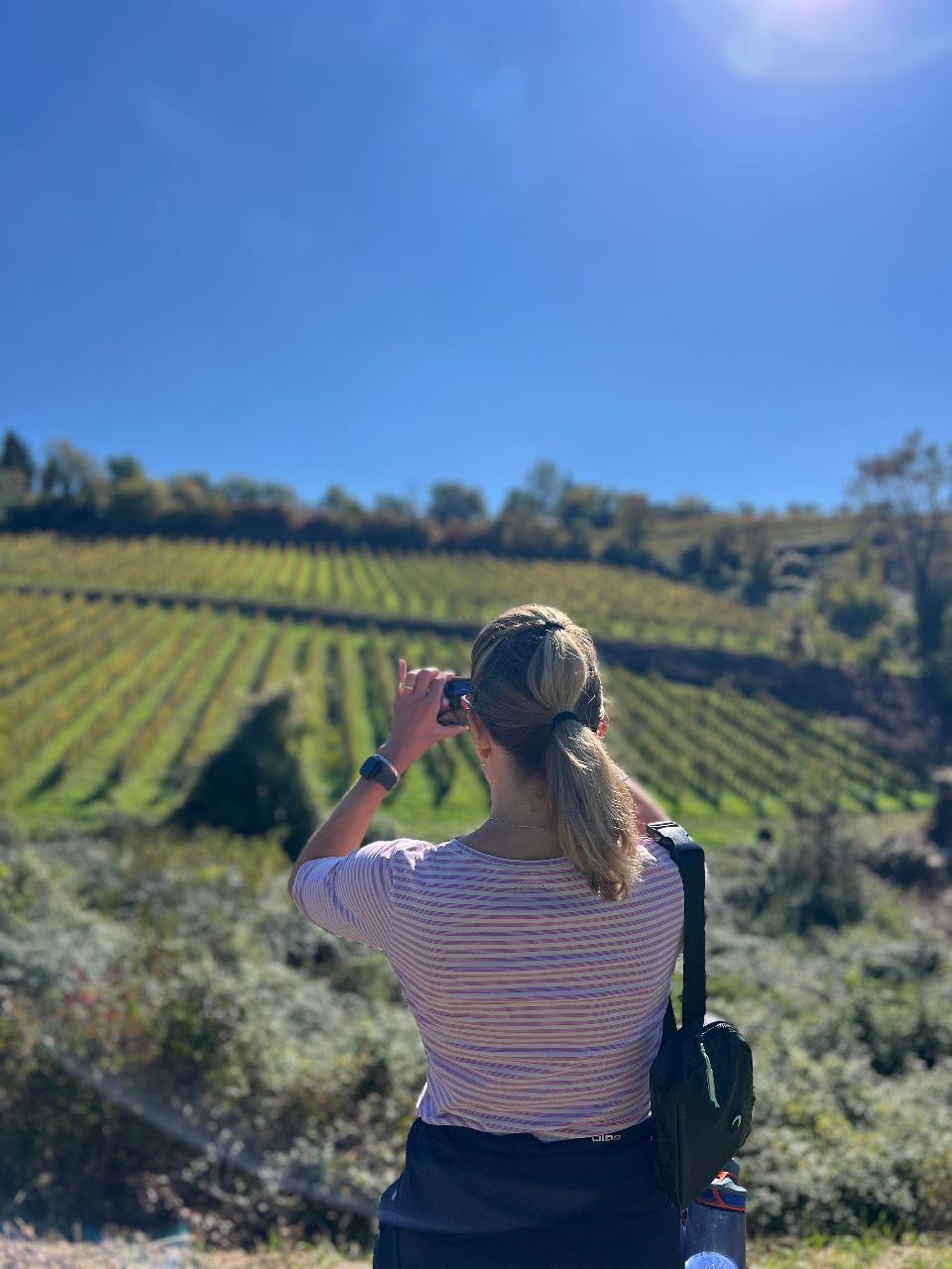 Out of the Box Florence: Wine Hiking Chianti Classico: Private Tour — Chianti Classico - Photo 4