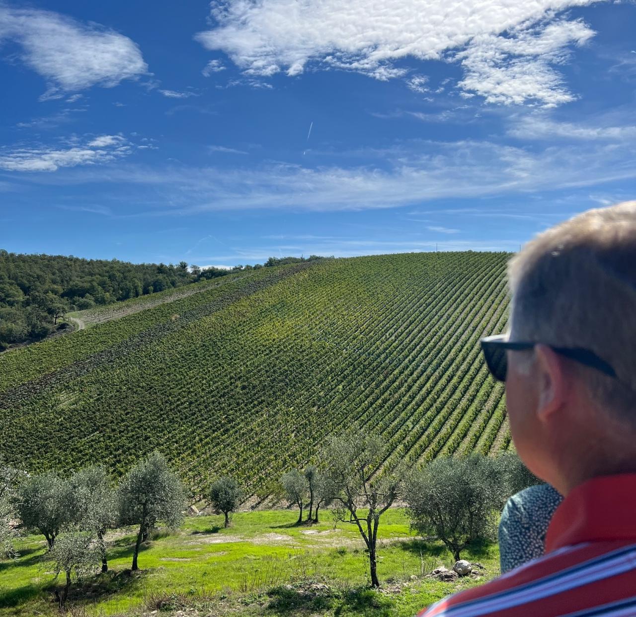 Out of the Box Florence: Your Organic Wine Tour (Private) — Chianti Classico - Photo 1