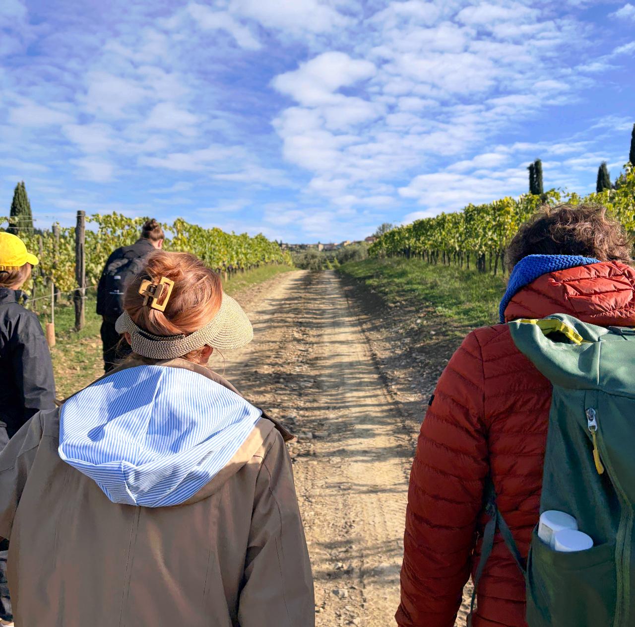 Getyourguide Wine Hiking Chianti Classico: Private Tour