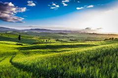 Val d'Orcia: Private Tour