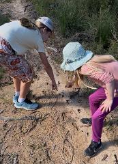 03- Wollemi Kids Club Wednesday 