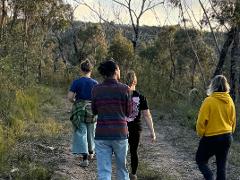 Guided Bush walk