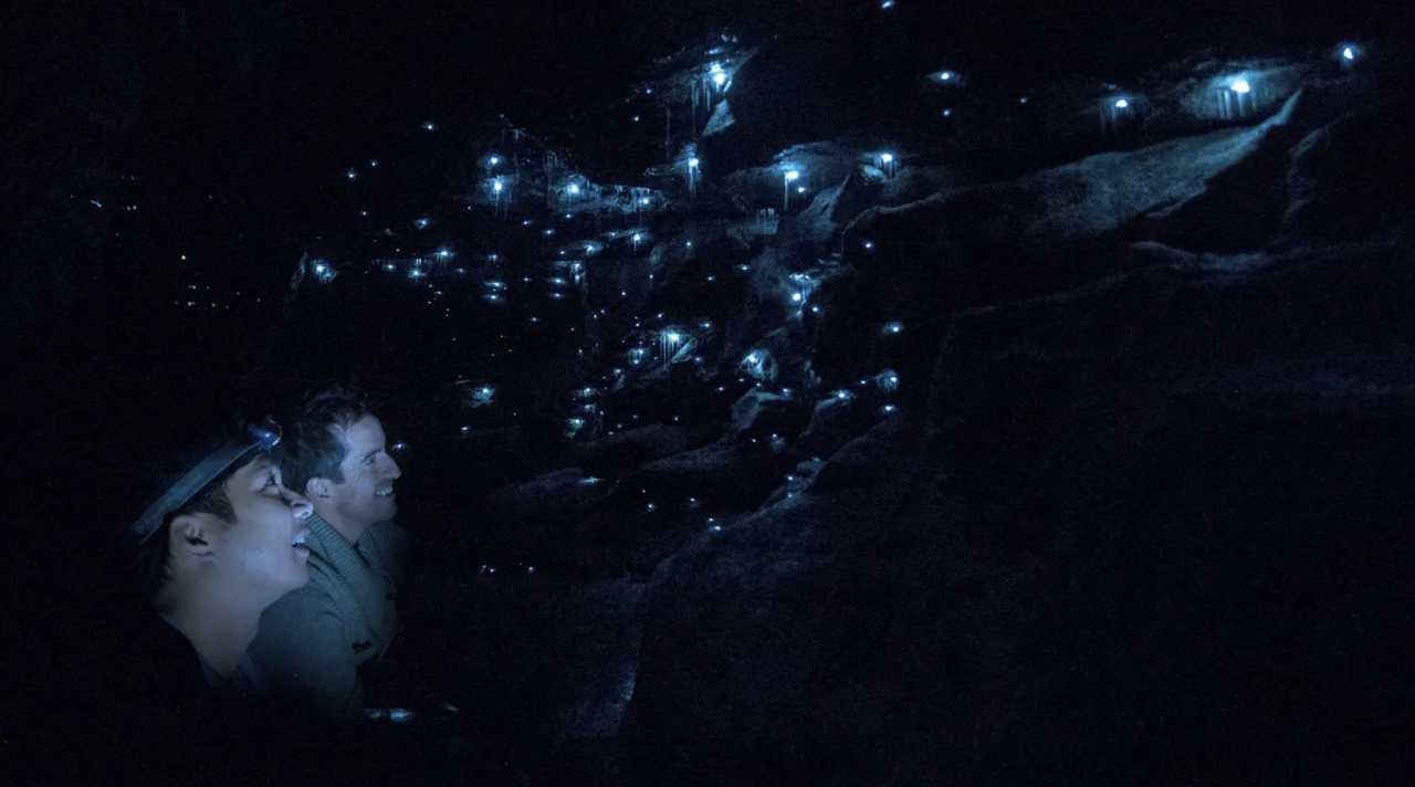 Blue Mountains Glow Worm Tours