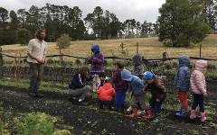 01- Wollemi Kids Club Monday