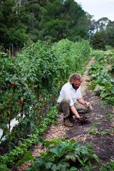 Harvest Farms Tour