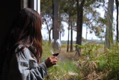 Boutique Wine Tour