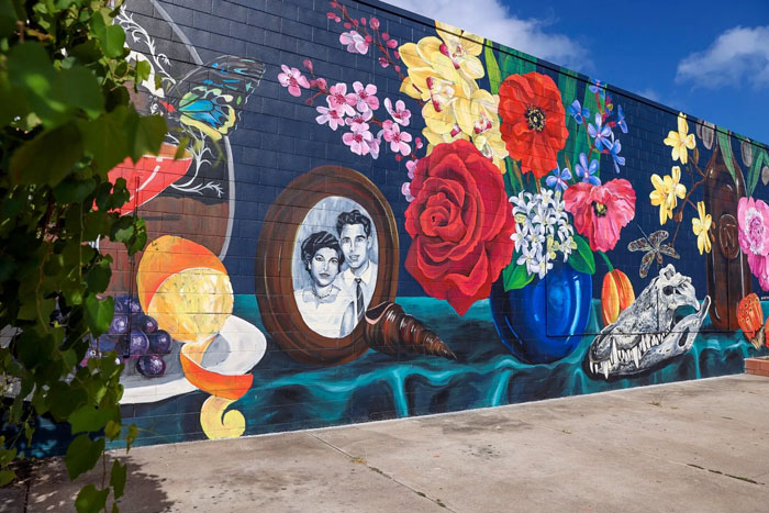 Street Art & Historical Darwin Tour