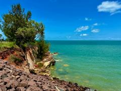 All About Darwin Tour - Cyclone Tracy, Darwin street art, Darwin suburbs and history, architecture