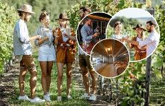 Queenstown Afternoon Wine Tour