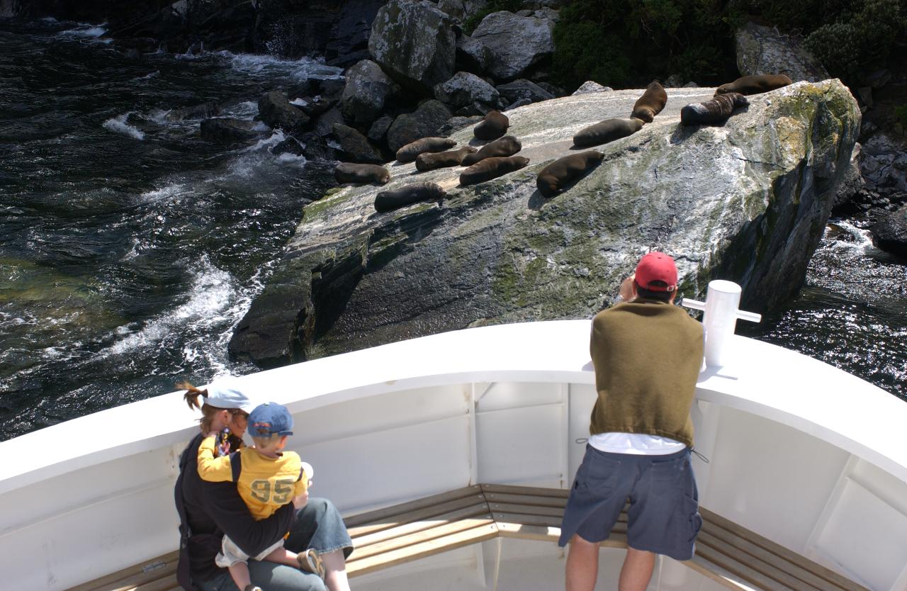 Milford Sound Small Boutique Boat Cruise with Cruise Milford