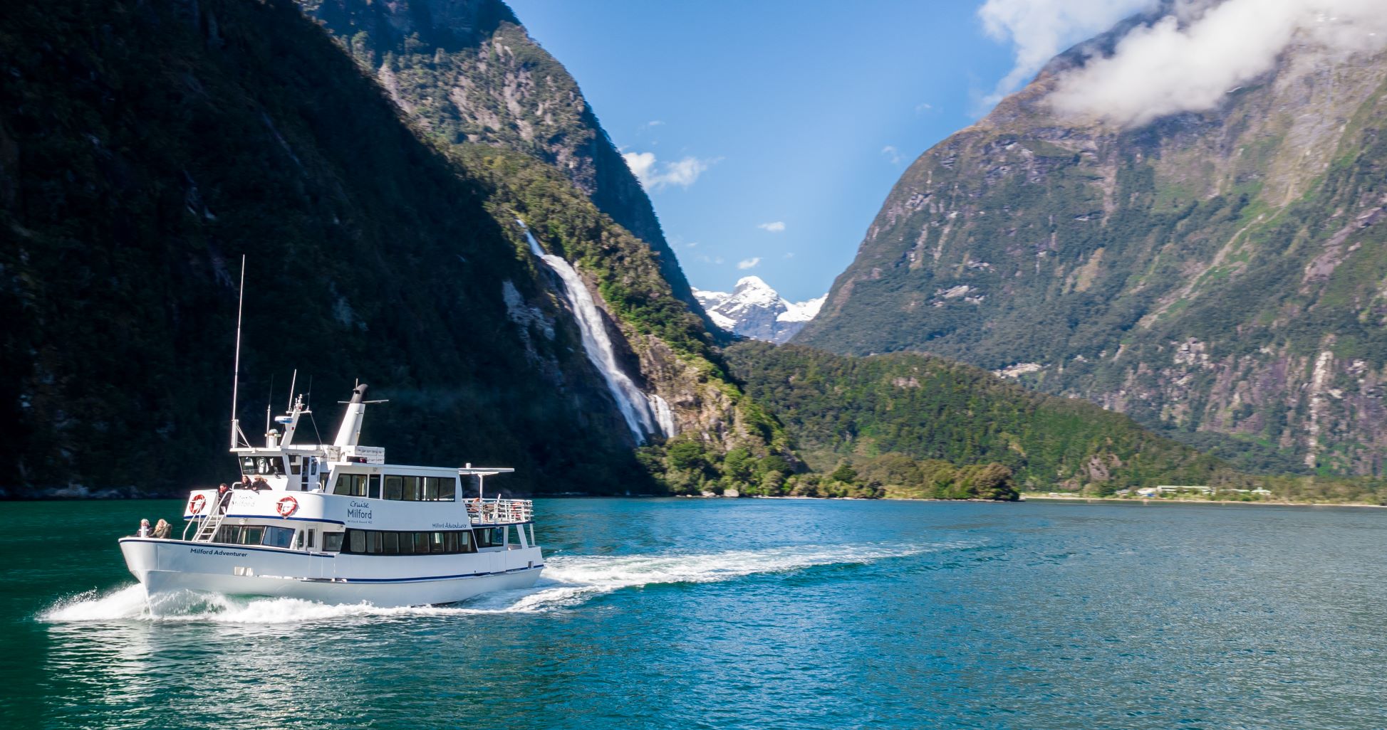 milford sound cruise cost