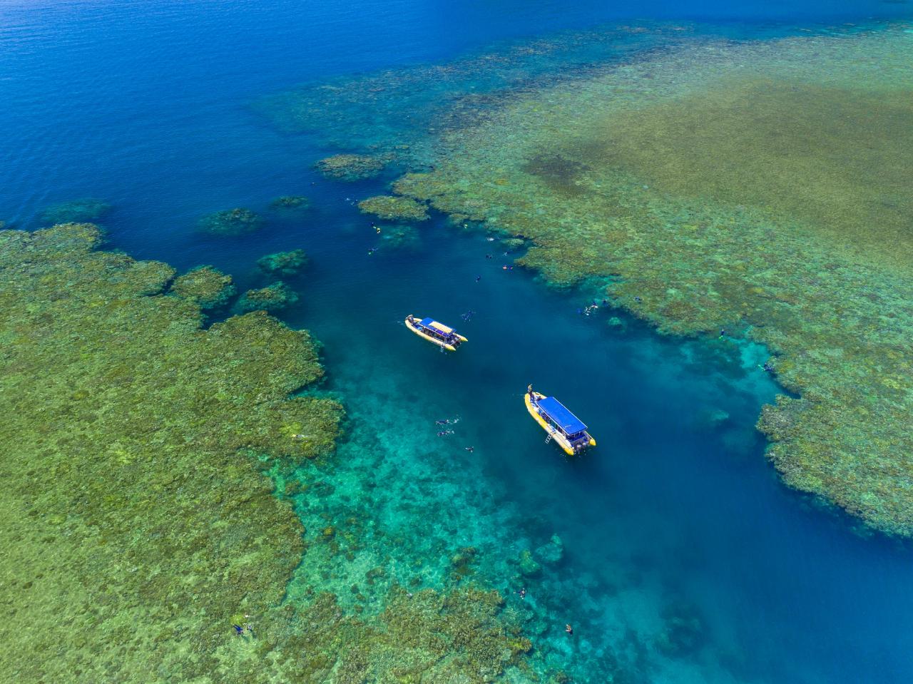 AFTERNOON Half Day Splash | Reef and Snorkel Adventure