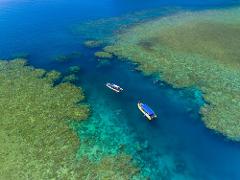 AFTERNOON Half Day Splash | Reef and Snorkel Adventure