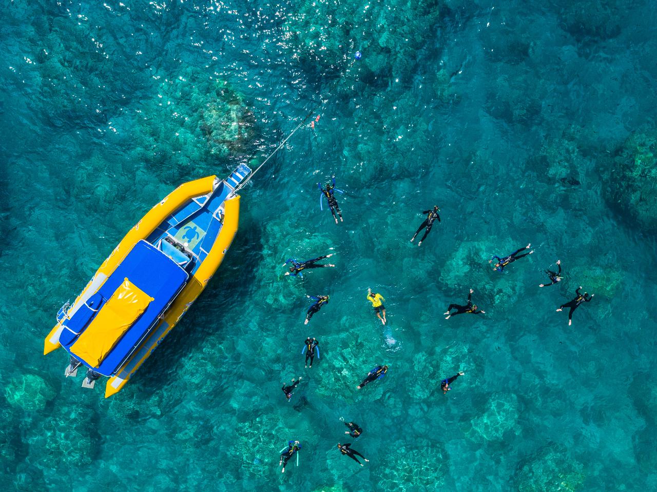 MORNING Half Day Splash | Reef and Snorkel Adventure